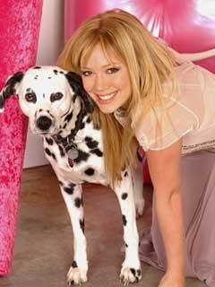 Hilary Duff - "dalmatzian cu parul lung...." - Have Some Fun